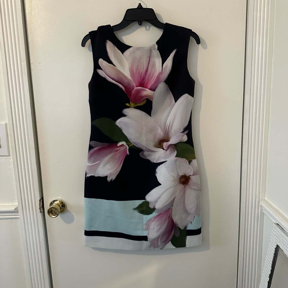 Gorgeous Ted Baker dress